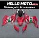 Ducati Superbike 959/1299 2015-2018 Fairing P/N 6F13