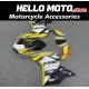 Ducati Superbike 959/1299 2015-2018 Fairing P/N 6F17