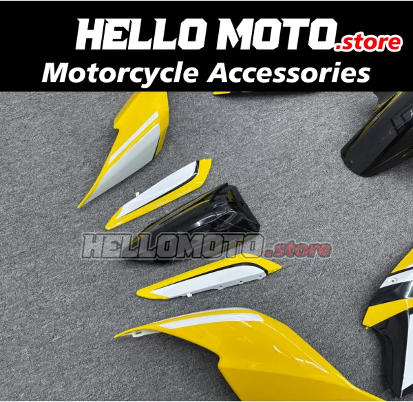 Ducati Superbike 959/1299 2015-2018 Fairing P/N 6F17