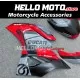 Ducati Superbike 959/1299 2015-2018 Fairing P/N 6F5