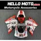 Ducati Superbike 748/916/996/998 1995-2003 Fairing P/N 6A3