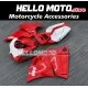 Ducati Superbike 748/916/996/998 1995-2003 Fairing P/N 6A7