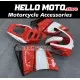 Ducati Superbike 748/916/996/998 1995-2003 Fairing P/N 6A8