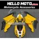 Ducati Superbike 749/999 2003-2004 Fairing P/N 6B3