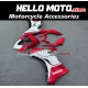 Ducati SuperSport 939 2017-2020 Fairing P/N 6L3