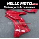 Ducati SuperSport 939 2017-2020 Fairing P/N 6L2