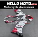 Ducati SuperSport 939 2017-2020 Fairing P/N 6L4