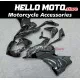Ducati SuperSport 950 2021-2025 Fairing P/N 6M1