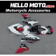 Ducati Streetfighter V4 2020-2024 Fairing P/N 6P1 Ducati Streetfighter V4 2020-2024 Fairing P/N 6P1