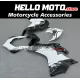 Ducati Panigale V2 2020-2025 Fairing P/N 6G2
