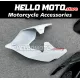 Ducati Panigale V2 2020-2025 Fairing P/N 6G2