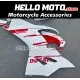 Ducati Panigale V2 2020-2025 Fairing P/N 6G3