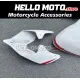 Ducati Panigale V2 2020-2025 Fairing P/N 6G3