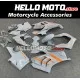Ducati Panigale V4/S/SP/R 2020-2022 Fairing P/N 6K6 Ducati Panigale V4/S/SP/R 2020-2022 Fairing P/N 6K6