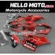 Ducati Panigale V4/S/SP/R 2020-2022 Fairing P/N 6K7