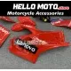 Ducati Panigale V4/S/SP/R 2020-2022 Fairing P/N 6K8