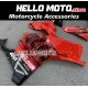 Ducati Panigale V4/S/SP/R 2020-2022 Fairing P/N 6K1