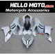 Ducati Panigale V4/S/SP/R 2020-2022 Fairing P/N R6K2