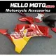 Ducati Panigale V4/S/SP/R 2020-2022 Fairing P/N 6K12
