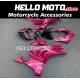 Ducati Panigale V4/S/SP/R 2020-2022 Fairing P/N 6K13 Ducati Panigale V4/S/SP/R 2020-2022 Fairing P/N 6K13