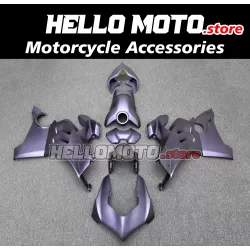 Ducati Panigale V4/S/SP/R 2020-2022 Fairing P/N 6K11