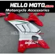 Ducati Panigale V4/S/SP/R 2020-2022 Fairing P/N 6K25