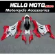 Ducati Panigale V4/S/SP/R 2020-2022 Fairing P/N 6K25