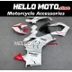 Ducati Panigale V4/S/SP/R 2020-2022 Fairing P/N 6K17