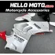 Ducati Panigale V4/S/SP/R 2020-2022 Fairing P/N 6K17