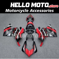 Ducati Panigale V4/SP2 2023-2025 Fairing P/N 6N4