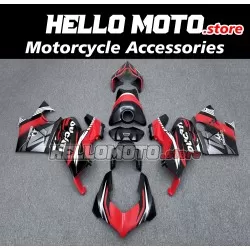 Ducati Panigale V4/SP2 2023-2024 Fairing P/N 6N4
