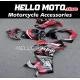 Ducati Panigale V4/SP2 2023-2024 Fairing P/N 6N4