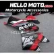 Ducati Panigale V4/SP2 2023-2024 Fairing P/N 6N4