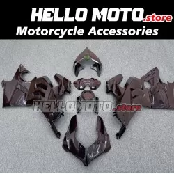 Ducati Panigale V4/SP2 2023-2024 Fairing P/N 6N6