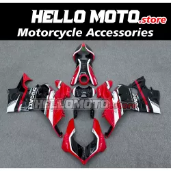 Ducati Panigale V4/SP2 2023-2024 Fairing P/N 6N7