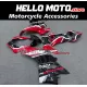 Ducati Panigale V4/SP2 2023-2024 Fairing P/N 6N7