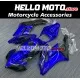 Honda CBR 1000RR 2004-2005 Fairing P/N 1F9