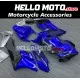 Honda CBR 1000RR 2004-2005 Fairing P/N 1F9