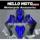 Honda CBR 1000RR 2004-2005 Fairing P/N 1F9