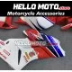 Honda CBR 1000RR 2004-2005 Fairing P/N 1F13