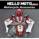 Honda CBR 1000RR 2004-2005 Fairing P/N 1F13