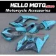 Honda CBR 1000RR 2004-2005 Fairing P/N 1F27