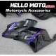 Honda CBR 1000RR 2004-2005 Fairing P/N 1F30