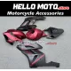 Honda CBR 1000RR 2004-2005 Fairing P/N 1F21