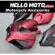 Honda CBR 1000RR 2004-2005 Fairing P/N 1F21
