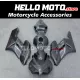 Honda CBR 1000RR 2004-2005 Fairing P/N 1F60