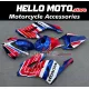 Honda CBR 1000RR 2004-2005 Fairing P/N 1F63 Honda CBR 1000RR 2004-2005 Fairing P/N 1F63