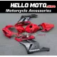 Honda CBR 1000RR 2004-2005 Fairing P/N 1F64
