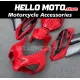 Honda CBR 1000RR 2004-2005 Fairing P/N 1F64