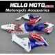 Honda CBR 1000RR 2004-2005 Fairing P/N 1F33